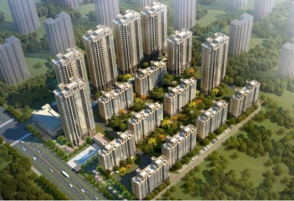 合肥最新爆料圈,揭秘城市热点与新鲜事